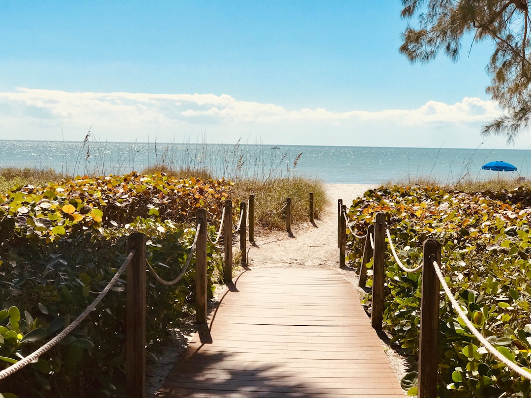 New York outflows reshape housing demand in Texas and Florida — Florida real estate