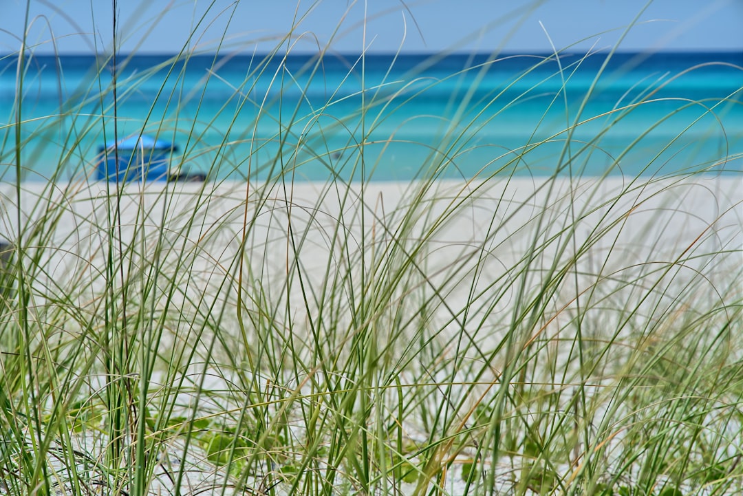 Foreclosures Continue To Rise, With Nevada, South Carolina, and Florida Leading the Nation — Florida real estate
