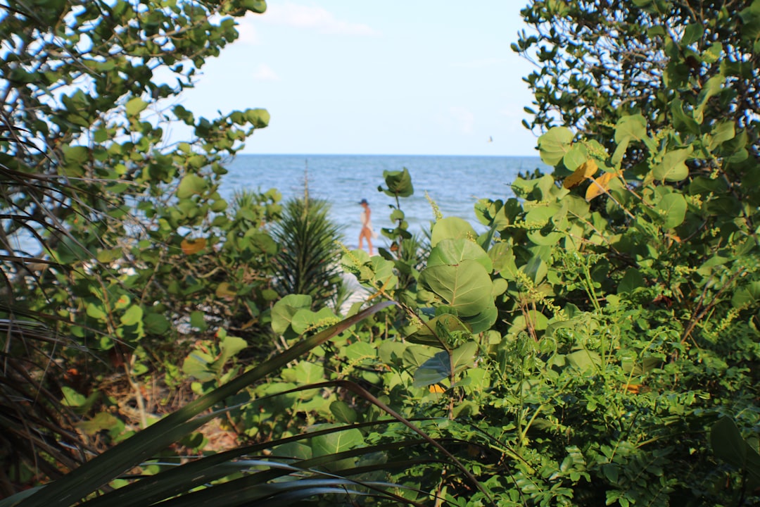 Islamorada Megamansion Gets $1.75 Million Price Bump—as Dave Portnoy Effect Sees Sales Surge In Coastal Enclave — Florida real estate