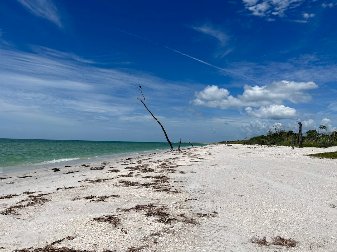 Las Vegas and Florida Are America's Hottest Destinations For Relocating House Hunters — Florida real estate