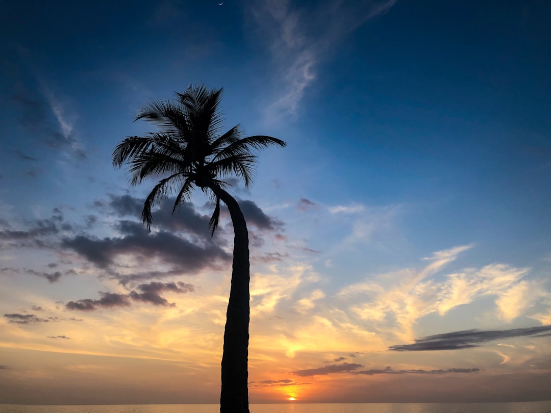 Seller impersonation fraud more than doubled since 2024 — Florida real estate