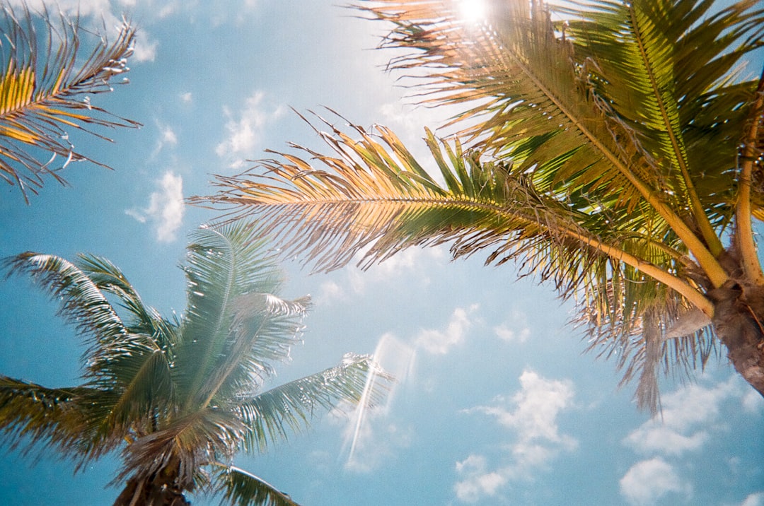Naples Florida real estate
